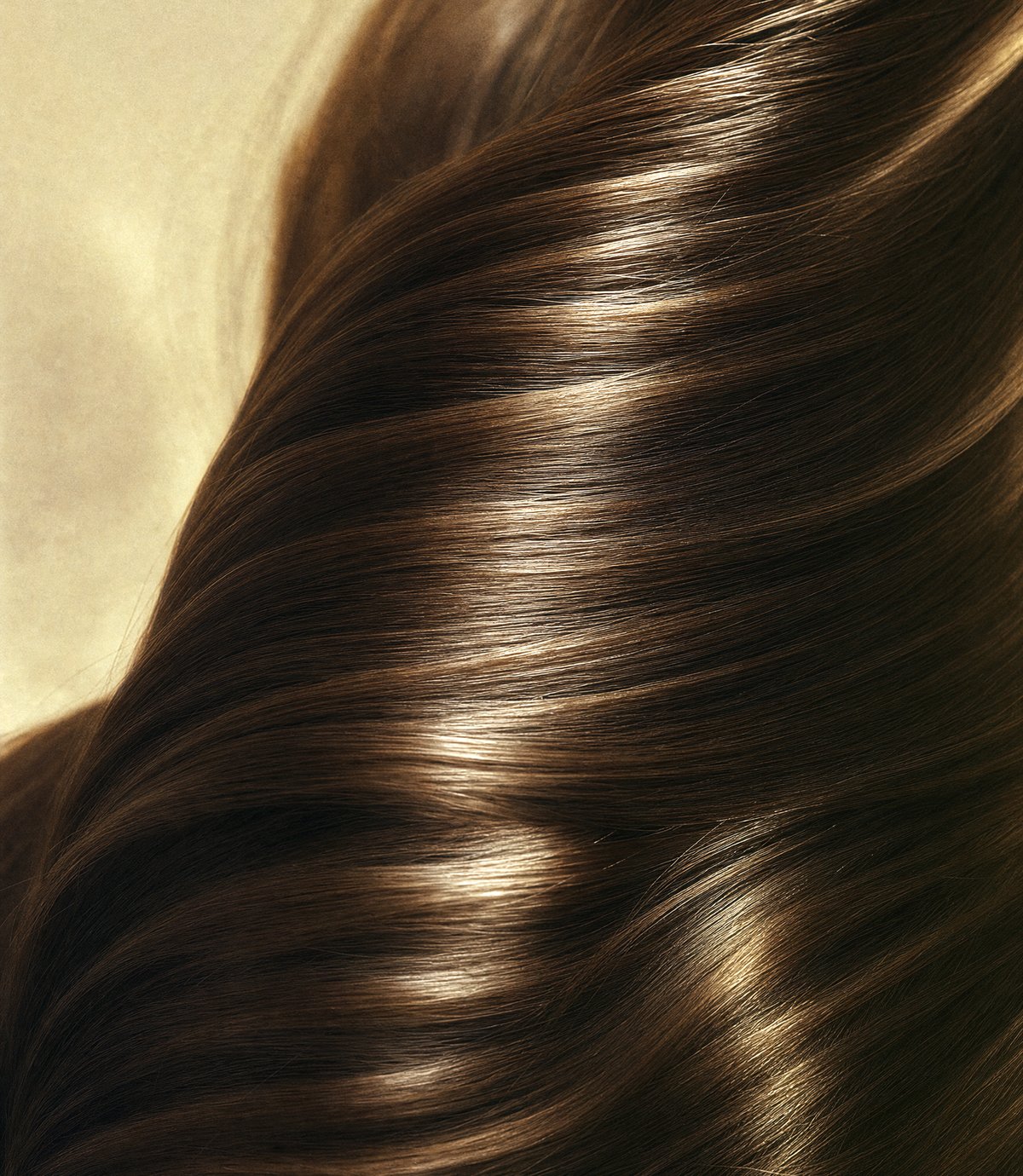Beauty macro of thick, glossy, healthy dark hair sweeping across the frame in warm golden light
